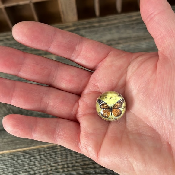 🦋Set of 4 Butterfly Imagery Magnets - Picture 4 of 5